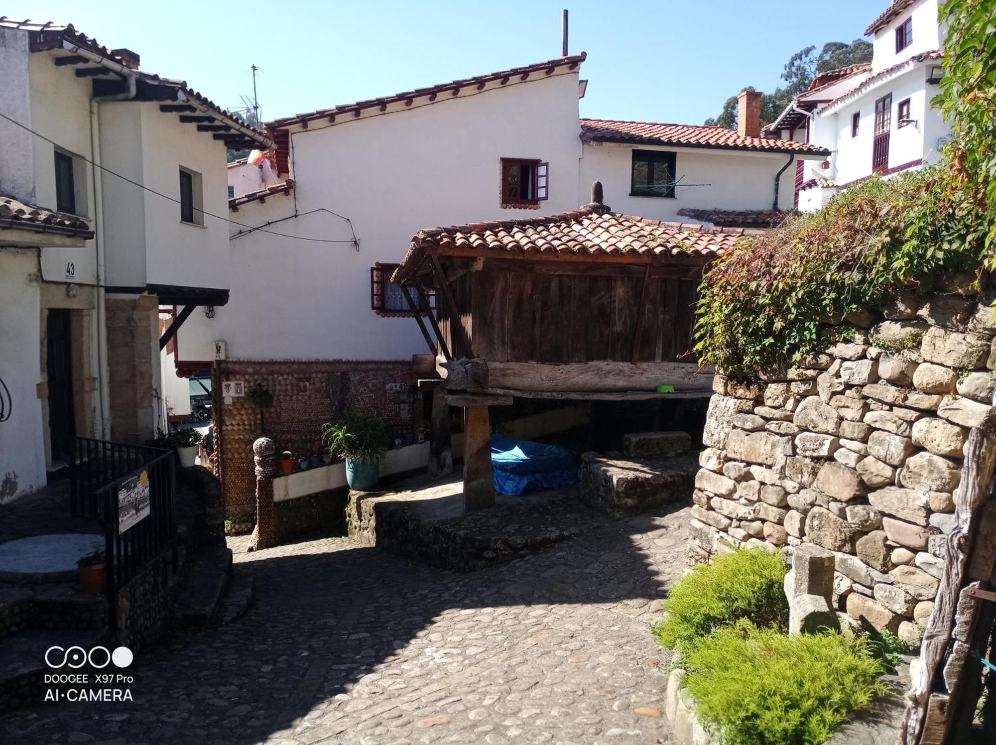 Tazones,79 * Tazones